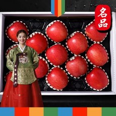 [옥이네] 명품 고급 사과 선물세트 추석 과일 사과 선물 세트 산지직송 홍로 최상품 선물용 5kg, 1박스
