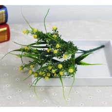babybreath