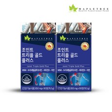 메이플트리보라지유