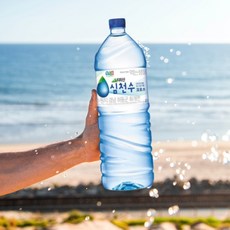 심천수