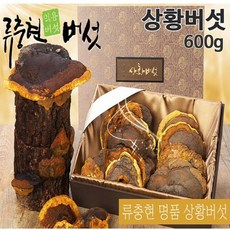 국산 상황 버섯 자연산 상황버섯 물 뽕나무 상황버섯차 목질진흙버섯 상황버섯선물 류충현 약용버섯 무농약 친환경인증, 2박스, 300g