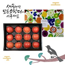 프리미엄 고당도 문경새재 사과 선물세트 5kg (12입), 1개