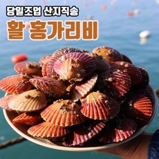 초통영