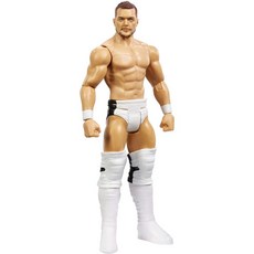 WWE 핀 발로르 작업 그림, 단일옵션