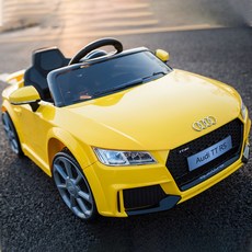 아우디푸쉬카캐노피