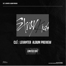 스트레이키즈한정반