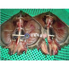 간자미