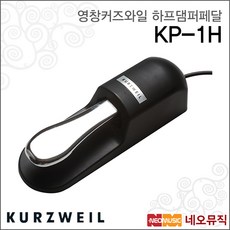 커즈와일pc4커버