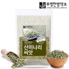 부영한방약초 산미나리씨앗 (회향) 500g 펜넬차, 1개, 1개입