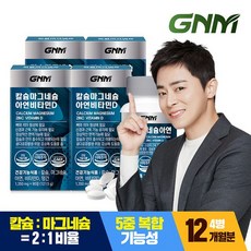 [총 12개월분] GNM 칼슘 마그네슘 아연 비타민D 90정 x 4병 / 망간 뼈건강, 121.5g, 4개, 상세 설명 참조