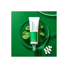 인테카수딩크림