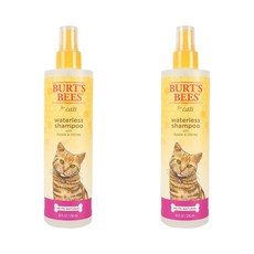 Burt's Bees 버츠비 포어 캣츠 애플 허니 Waterless 샴푸 296ml 2팩, 2개