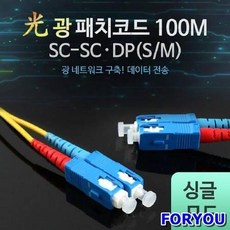한솔dp100