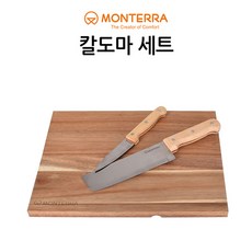 몬테라설거지망