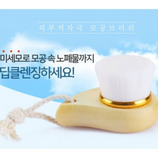 토소웅세안브러쉬