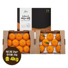 [산지애]제주 햇 레드향 2kg + 한라봉 2kg (총4kg), 단품