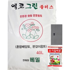 프로맥그린플러스