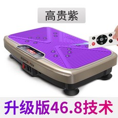 진동운동기 가정용 벨트맛사지기 바이브레이터 지방연소 헬스 진동, T04-업그레이드/자석 물리치료/고귀퍼플 E79