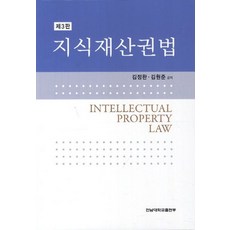 지식재산권법, 전남대학교출판부, 김정완,김원준 공저