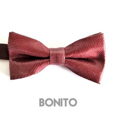 나비넥타이백일촬영