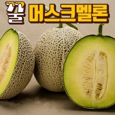 프리미엄 고당도 메론 머스크메론 8kg 4kg 멜론 부모님선물 머스크멜론, 머스크멜론3-4수(5kg내외)