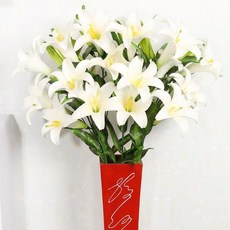 974cbd41ed05efc08a658587963b2883e11de1fef9f226baf3e9c7a8b2b0.jpg