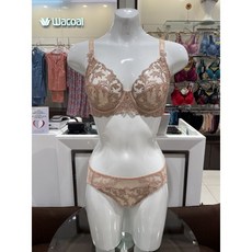 와코루홑겹브라