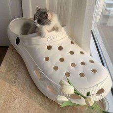 초대형 대형 슬리퍼 숨숨집 강아지 하우스 집 고양이, 1개