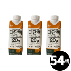 빙그레 더단백 프로틴음료 단백질 드링크 카라멜맛 250ml 총 54팩, 54개
