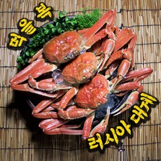 킹크랩선어