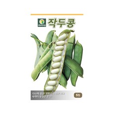 작두콩 씨앗 5립 다농, 1개