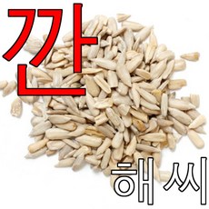 깐 해바라기씨 500g 햄스터 앵무새 다람쥐 사료 밥, 1개