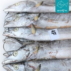 도매 낸동 갈치 세네갈 8kg 벌크 업소용, 400/500