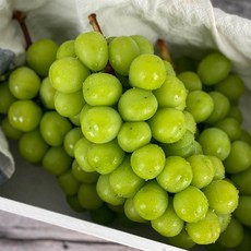 샤인머스켓2kg3수