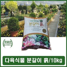 56f2f725a0f82a4a530aa70a141dadf73bb0f19675c620b39224bcd85ae6.jpg