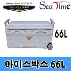 행관 슈퍼바이저 아이스박스 66L, 단품