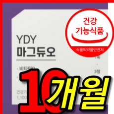 ydy 마그듀오