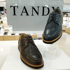 탠디보트