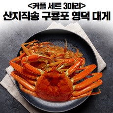 꽉 찬 다리 살 명품 포항 영덕 붉은 대게 맛있는 딱지 장 가득 홍게, 대게 커플 3마리 세트