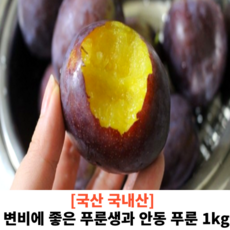 국산 국내산 푸룬생과 안동 푸룬 1kg 명절선물 이색 과일 보라색 자색 자두 퍼플 자두 푸룬 생과일 푸른 변비 프룬생과 서양자두