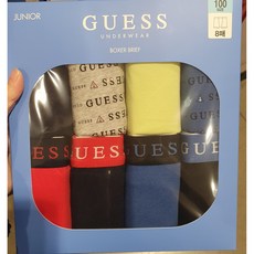 게스주니어드로즈