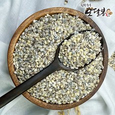 힘찬농부오달봉 국산 오색보리쌀 (늘보리 청보리 찰보리 흑보리 자색보리), 1개, 3kg