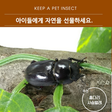 c98c5b394240d37557b4cdb90843ea83e64db957ff7f59b2f27064099370.png