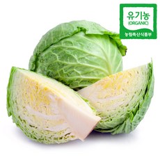 유기농 양배추 3.5kg 5kg, 1개