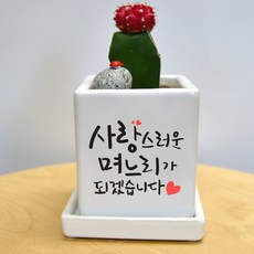 상견례화분