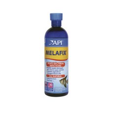 13baf6be7a413ead64c1c5fe3e8070c5cf181b1108bf75b86b8bf6ba341d.jpg