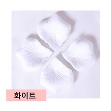 말린꽃잎으로만드는작품 TOP01