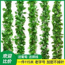 32d261a0532d6503197a4fda23d7b680f5055aee904f832d04aafe686600.jpeg