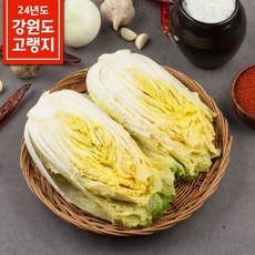 (도착일 지정 상품) 강원도 고랭지 절임배추 김장배추 절인배추 20kg (6-10포기), 11월07일 (목요일) 도착