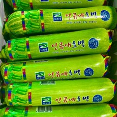 맛통령 국내산 인큐애호박, 4개, 1박스